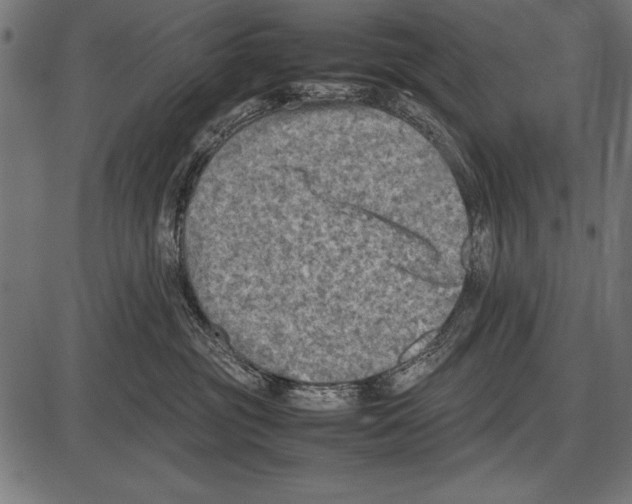 X0000085730381200704091450