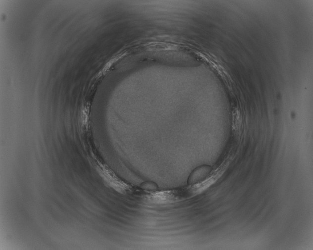 X0000085730382200704091450