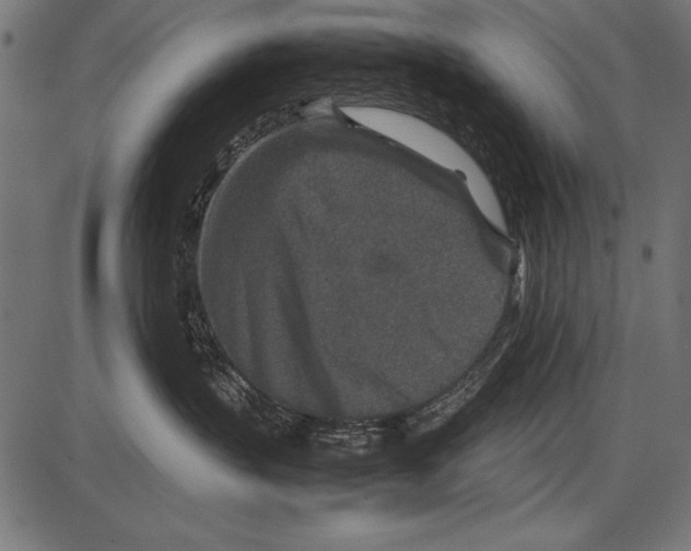 X0000085730383200704091450