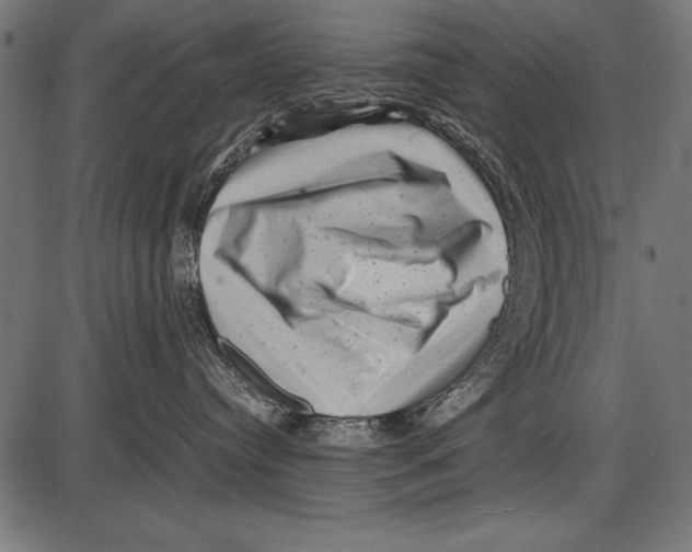 X0000085730384200704091450