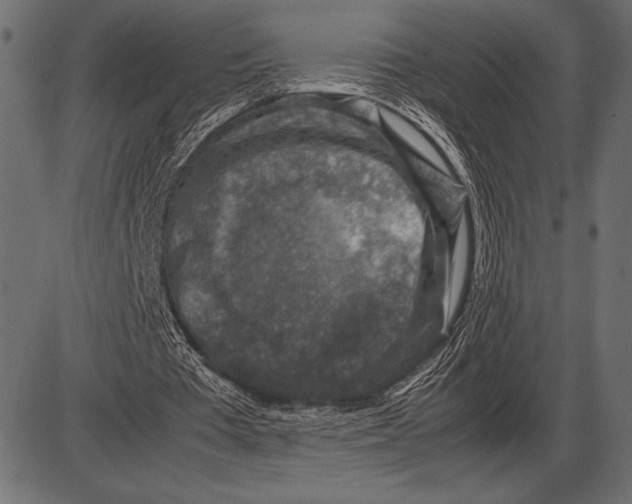 X0000085730385200704091450