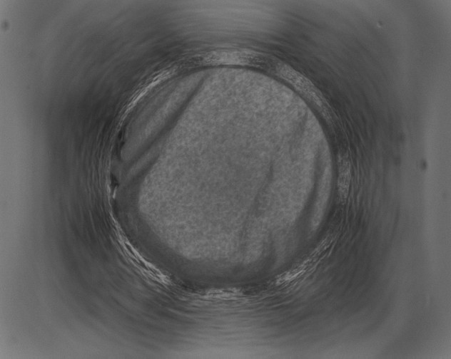 X0000085730386200704091450