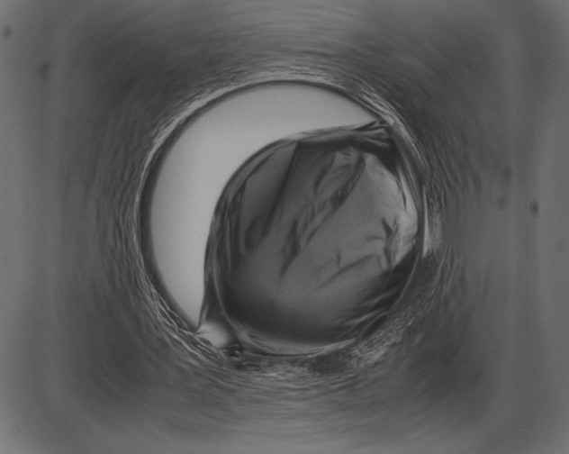 X0000085730387200704091450