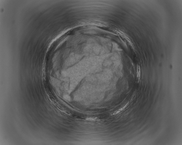 X0000085730388200704091449