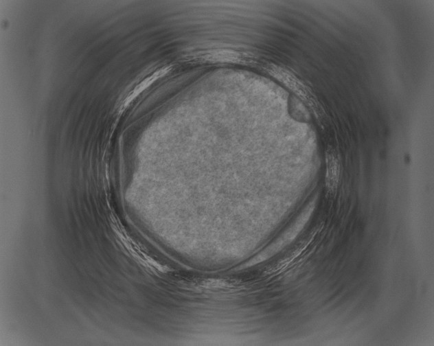 X0000085730390200704091449