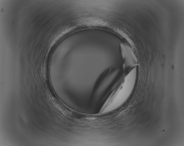 X0000085730391200704091449