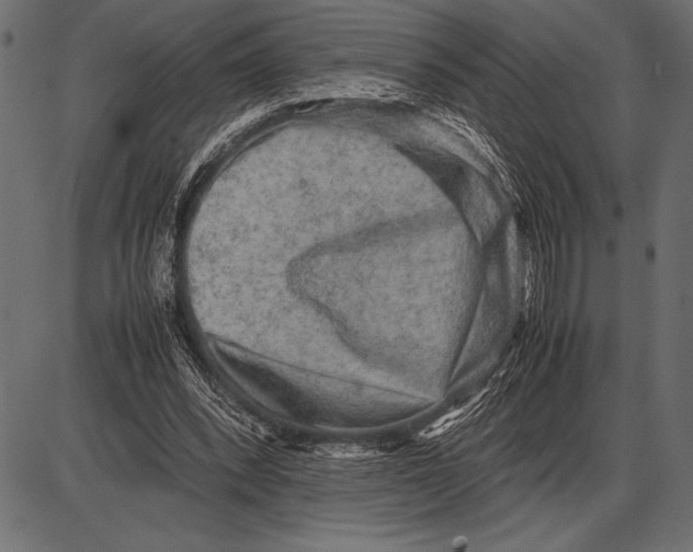 X0000085730392200704091449