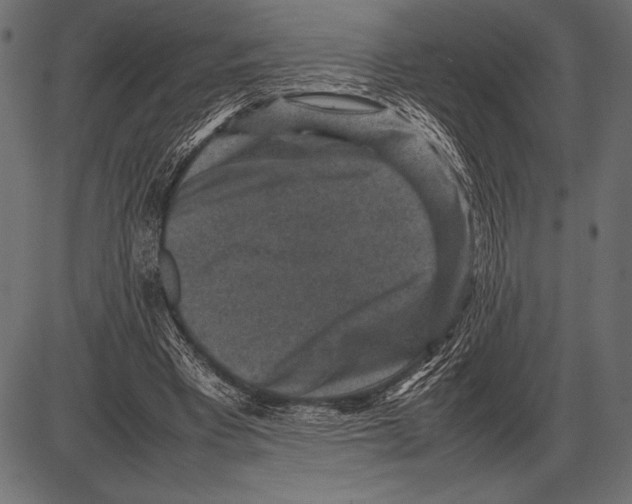 X0000085730393200704091449