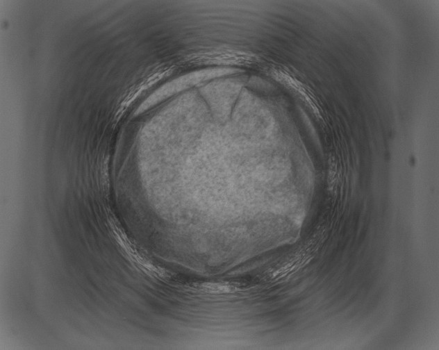 X0000085730394200704091449