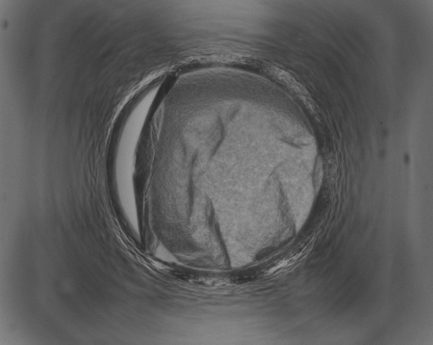 X0000085730395200704091449