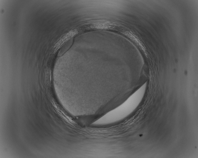 X0000085730397200704091449