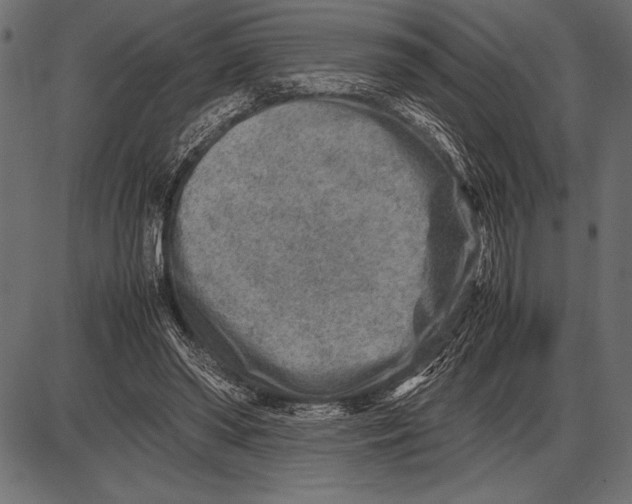 X0000085730398200704091449