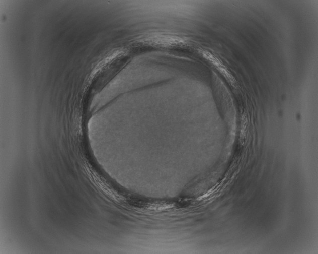 X0000085730399200704091449