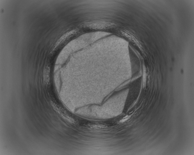 X0000085730400200704091449