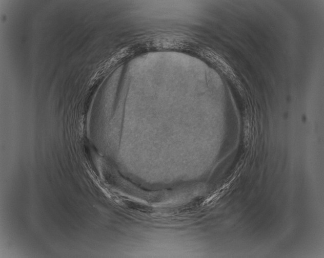 X0000085730401200704091449