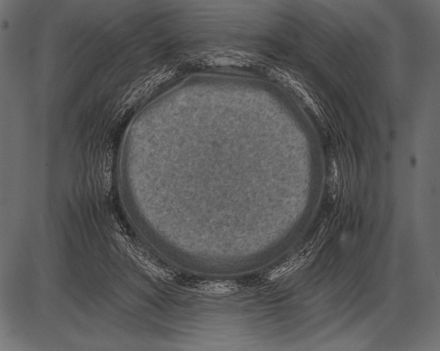 X0000085730402200704091449