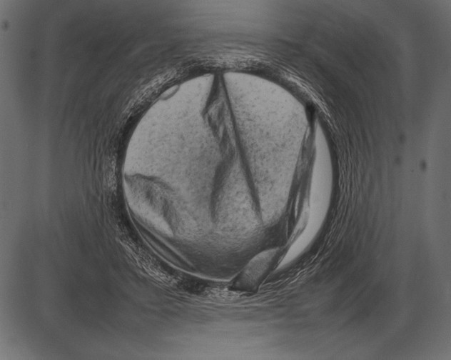 X0000085730403200704091449