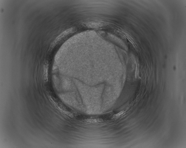 X0000085730404200704091449