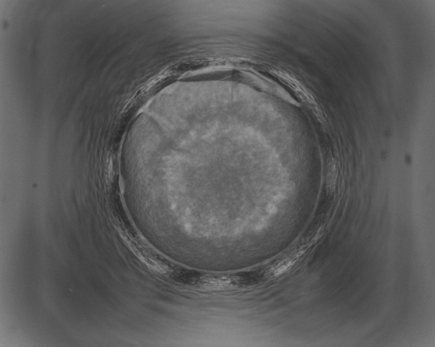 X0000085730405200704091449