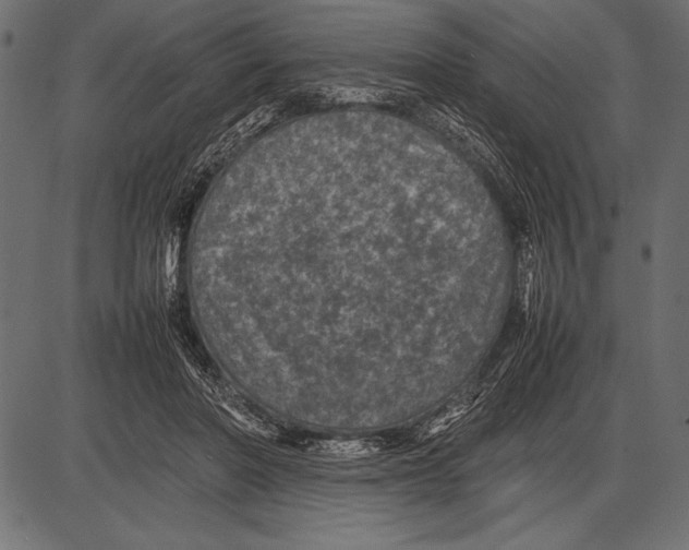 X0000085730406200704091449