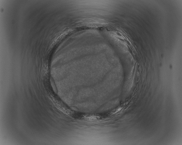 X0000085730407200704091449