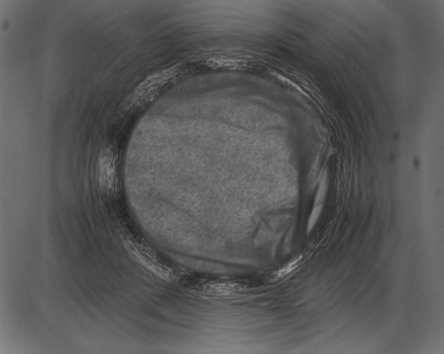 X0000085730408200704091449