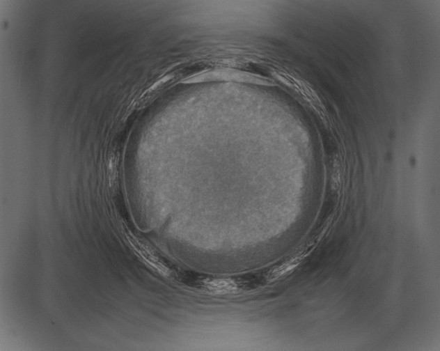 X0000085730409200704091449