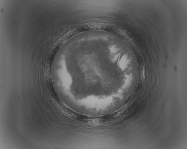 X0000085730411200704091449