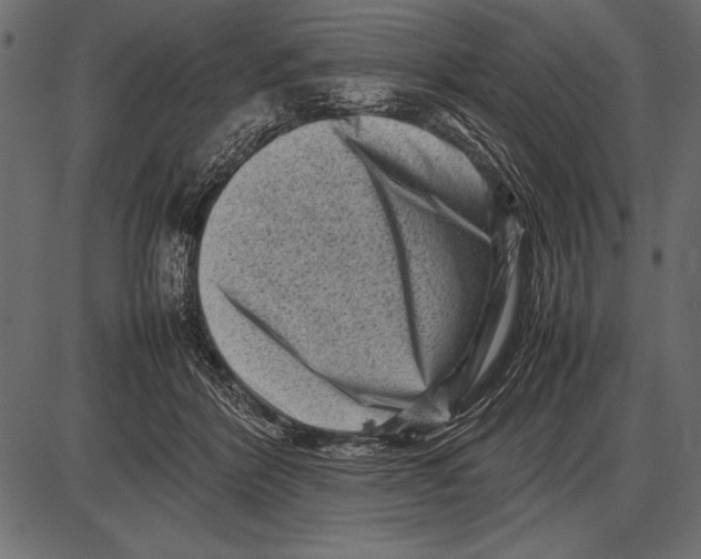 X0000085730412200704091449