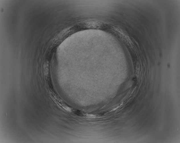 X0000085730413200704091449