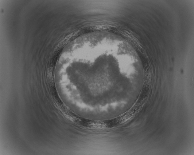 X0000085730415200704091449