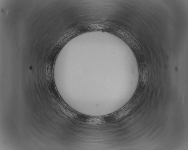 X0000085730418200704091449