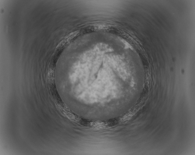 X0000085730419200704091449