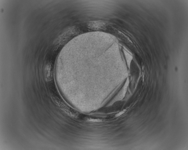 X0000085730420200704091449