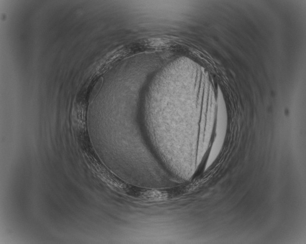 X0000085730421200704091449