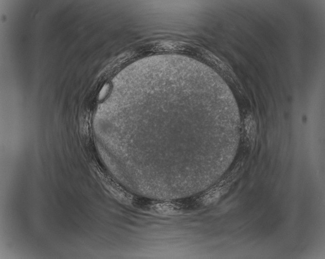 X0000085730423200704091449