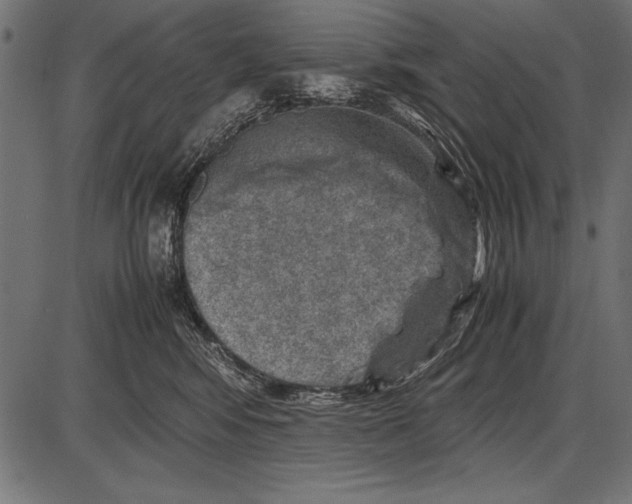 X0000085730424200704091449