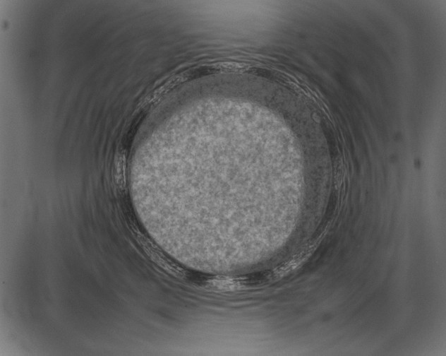 X0000085730425200704091449