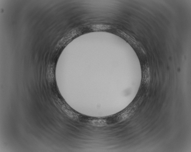 X0000085730426200704091449