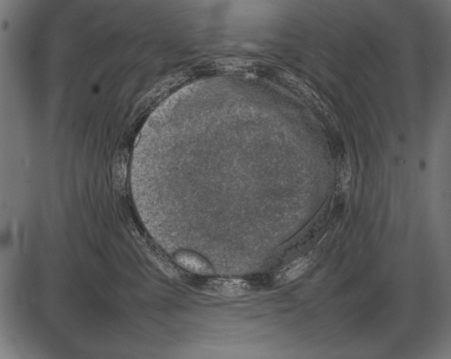 X0000085730427200704091449