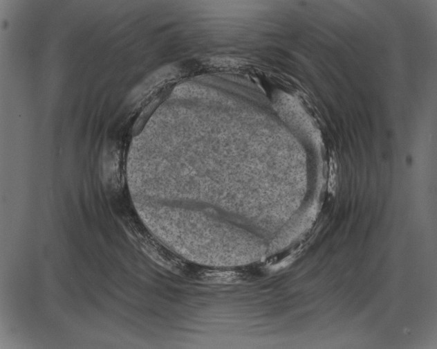 X0000085730428200704091449