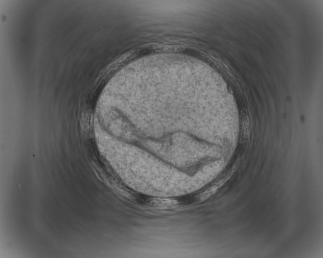 X0000085730429200704091449