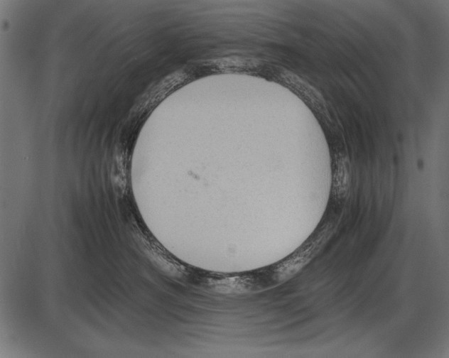 X0000085730430200704091449