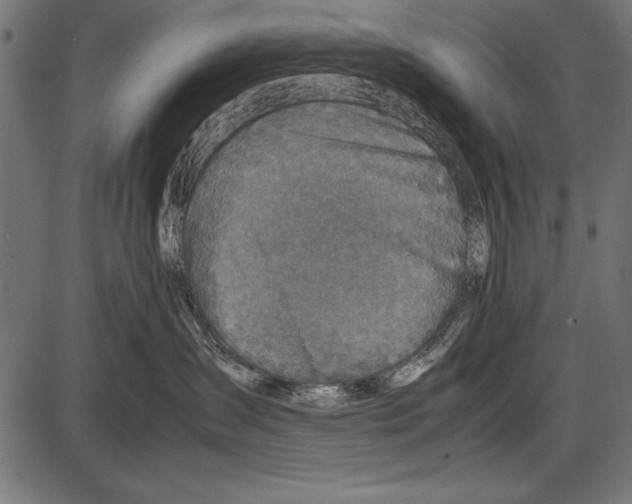 X0000085730431200704091449