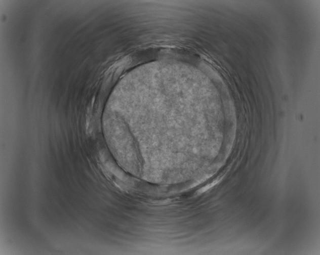 X0000085730432200704091449