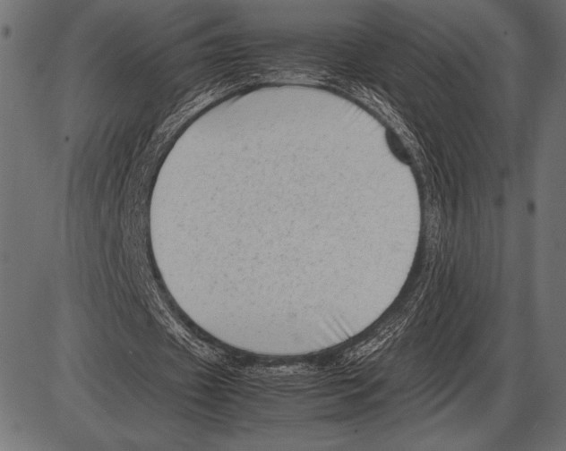 X0000085730433200704091448