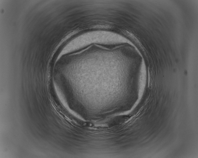 X0000085730435200704091448