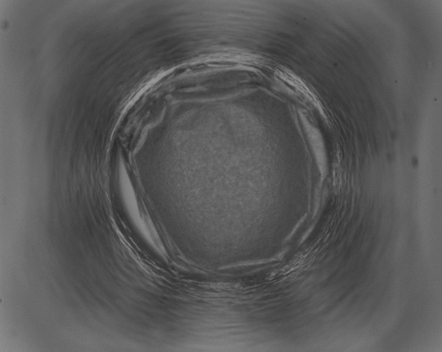 X0000085730436200704091448