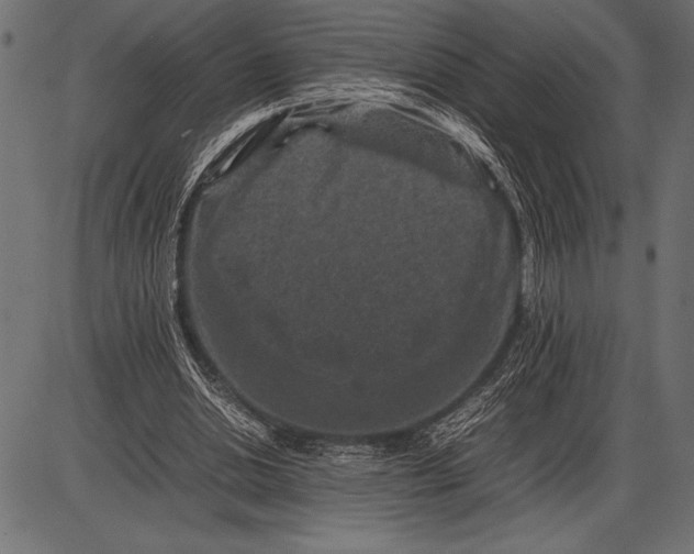 X0000085730438200704091448