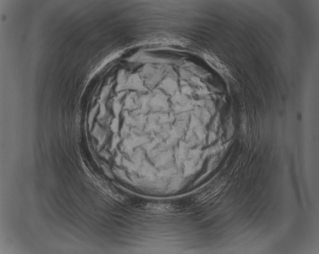 X0000085730440200704091448